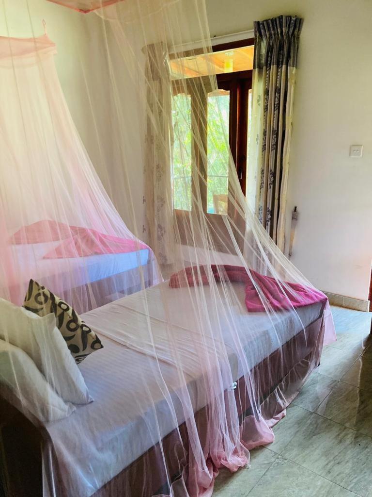 Bed and Breakfast Silent Nest Ella Exterior foto